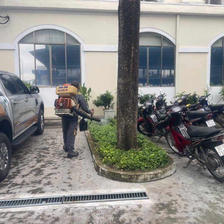 454935512_1550543935816737_5985786931467959791_n