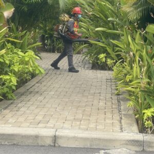 z5695341293470_f0c1f6d5c9d3a322d360da682a6fd130