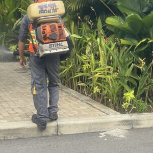 z5695341305086_2f949fb0af73bcfe1ebb49f9c14a369a