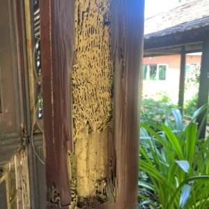 z5695351780410_4c74d7e9c583ca43b87bde2bbe4101a3