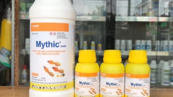 z5695363289352_c1c5c47029a59a773d0550dce8e927c9