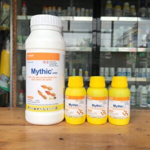 z5695363291233_86cca89f48377d9374122d2810ec0957