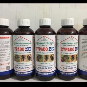 z5695366990434_fd8118a4b4564f1062dc66f15d48222b