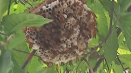 z5695399156781_8d2916bbe13028d537ea25261b863f8d