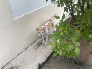 z5695411878815_56af04d86c958f290b0ea160d3b00eab