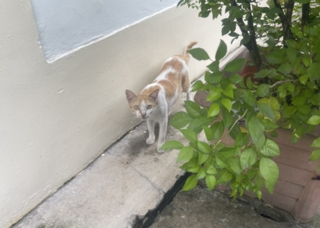 z5695411878815_56af04d86c958f290b0ea160d3b00eab